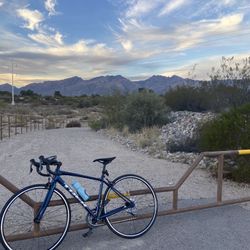 Trek Domane AL 2 Road Bike