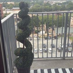 Outdoor Tree