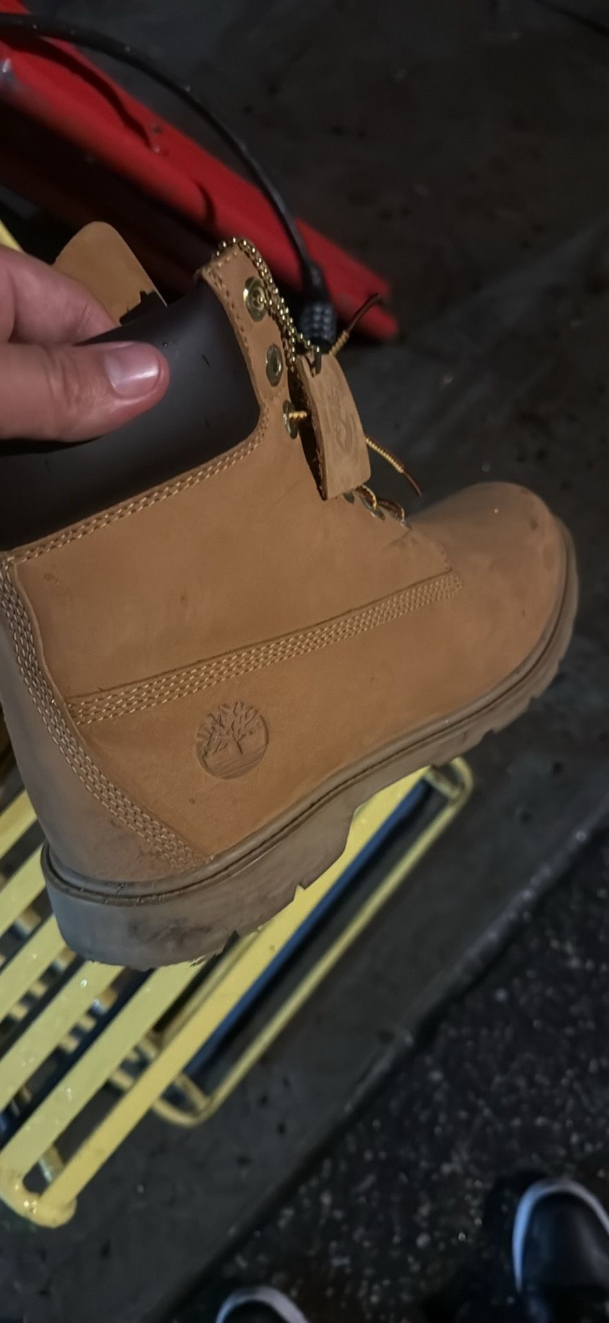 Timberlands Size 9.5 Take Them