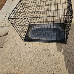 Medium crate 30 x 19 on top / arriba by 21 in high/ altura 