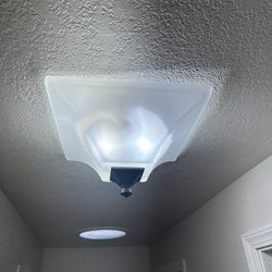 Ceiling mount light For Sale 