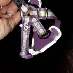 Purple And Silver No Pull Adjustable Harness For Puooy Or Kitty