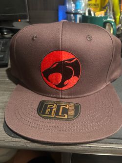 Embroidered 100 percent cotton Thundercats Logo adjustable Hat in Brown