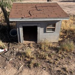 Giant Dog House