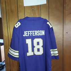 Surprise Sticker With 2x Vikings Jefferson Jersey