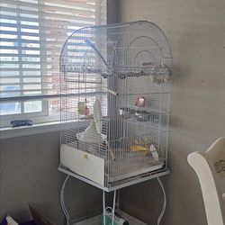 lrg bird cage ready to go with accessories