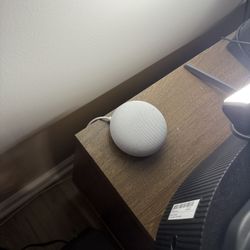 Google Nest Speaker