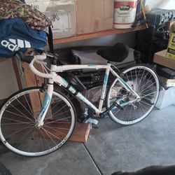 Fuji Bike