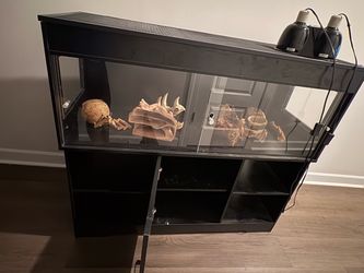 Reptile tank