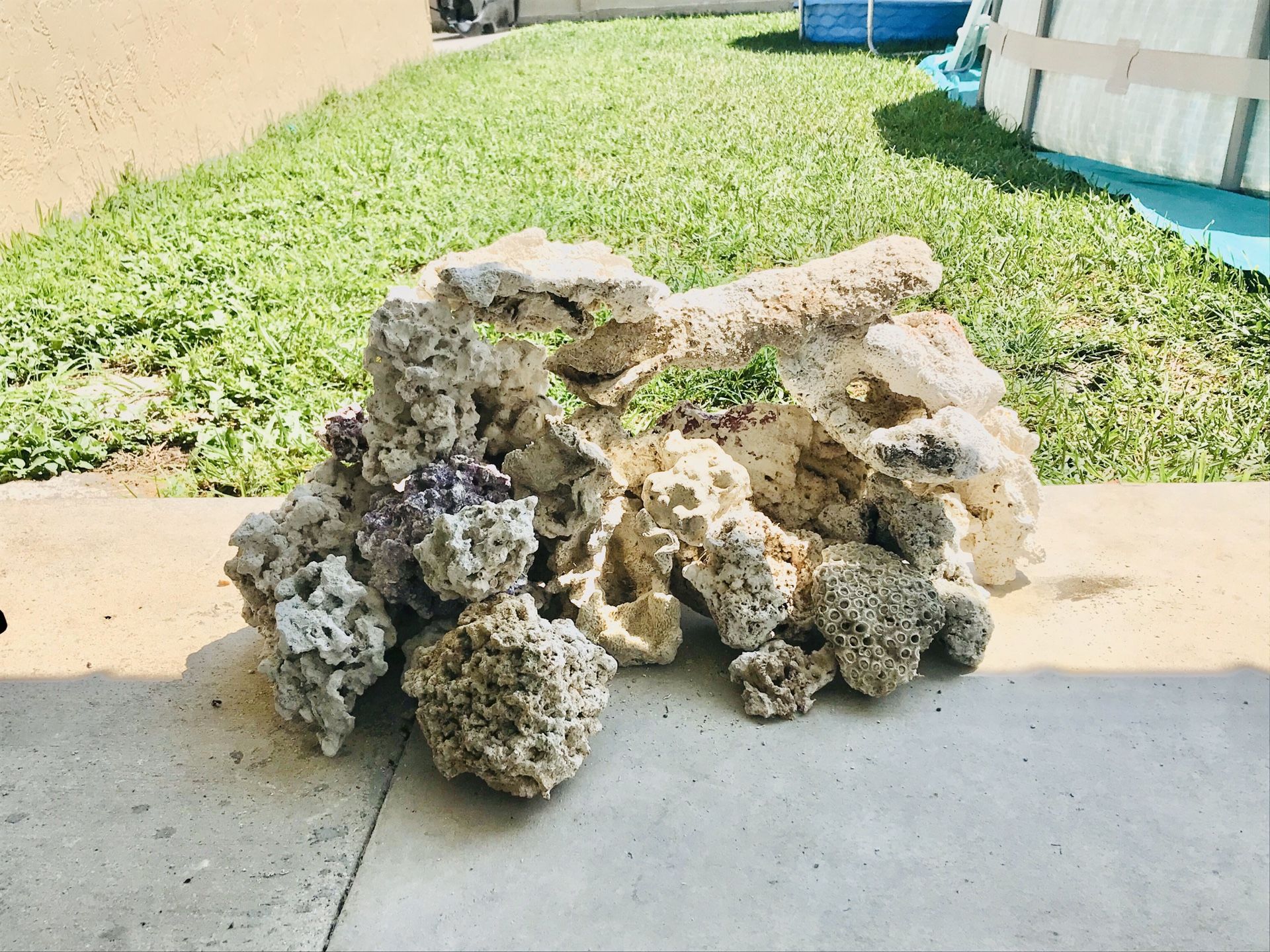 Salt Water On Rocks Aquarium salt water rocks for Sale in Miami, FL - OfferUp