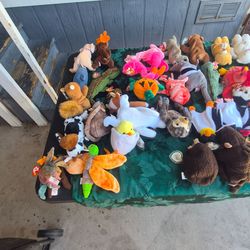 Beanie Buddies