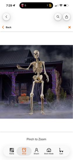 Skelly skeleton