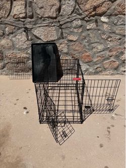 Double Door Folding Dog Crate w/Divider