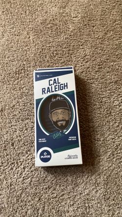 Cal Raleigh socks