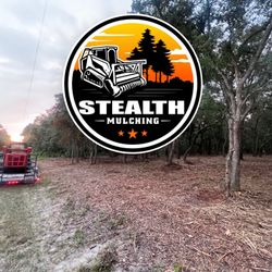 Forestry mulching & Land Clearing