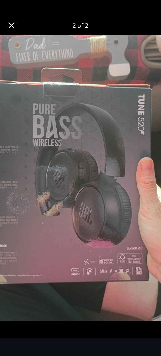 JBL Headphones 520