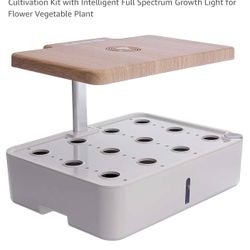 Hydroponic Growing Pot, New