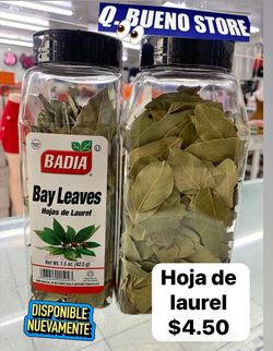 Hojas de Laurel