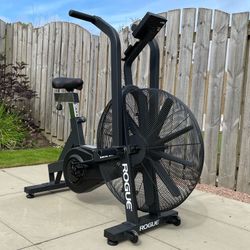 Rogue Echo Bike for Pickup