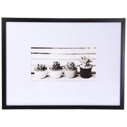 Succulent Frame Wall Decor 