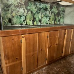 125g Fish Tank