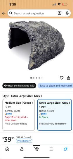 Reptile Hiding Rock Cave