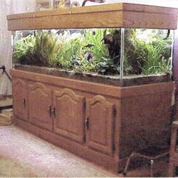 180 Gallon Freshwater Aquarium with all ancillary support equipment 