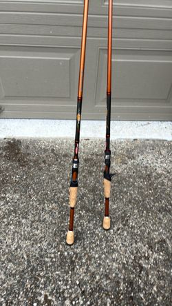 Berkley lightning Rods