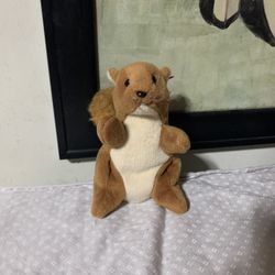 Nuts the beanie baby 