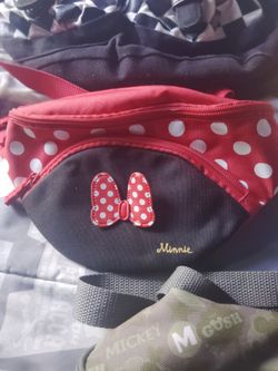 Disneyland Bag and ear buds