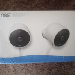 2 Nest Cams