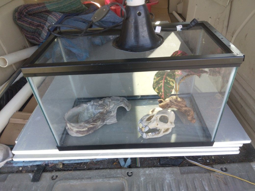 Fish Tank Reptile Tank for Sale in Medinah, IL OfferUp