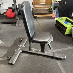 Seated Stationary Bench