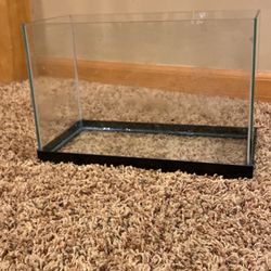 1 Gallon Fish Tank 