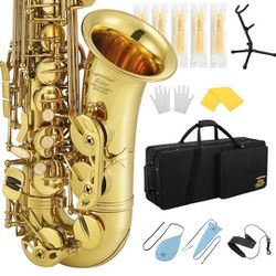 Eastar Professional Alto Saxophone E Flat Alto Saxophone Eb Saxophone Gold With Cleaning Cloth, Carrying Case, Mouthpiece, Neck Strap, Reeds and Stand