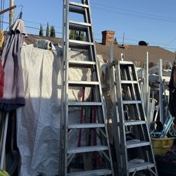 Extension Ladders + Step Ladders
