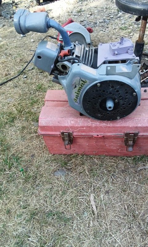 Briggs & Stratton Animal Racing Motor