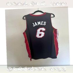 apply defense LeBron James USA Jersey Real Athletic Wear