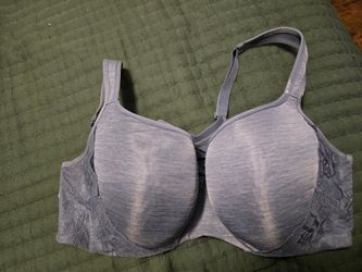 Lane bryant bra