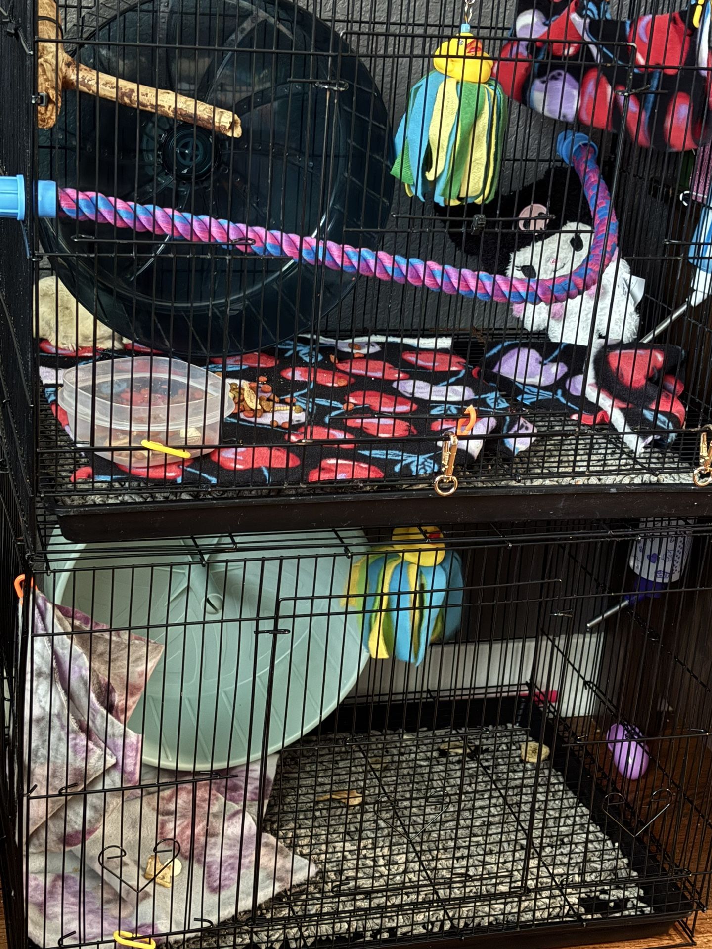 Sugar glider Cage And Setup
