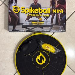 Spikeball Mini