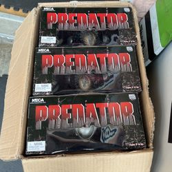 Predator