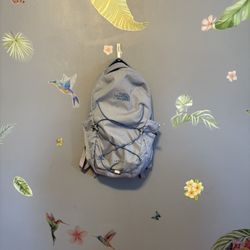 The North Face Borealis Backpack 