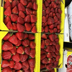 STRAWBERRIES 