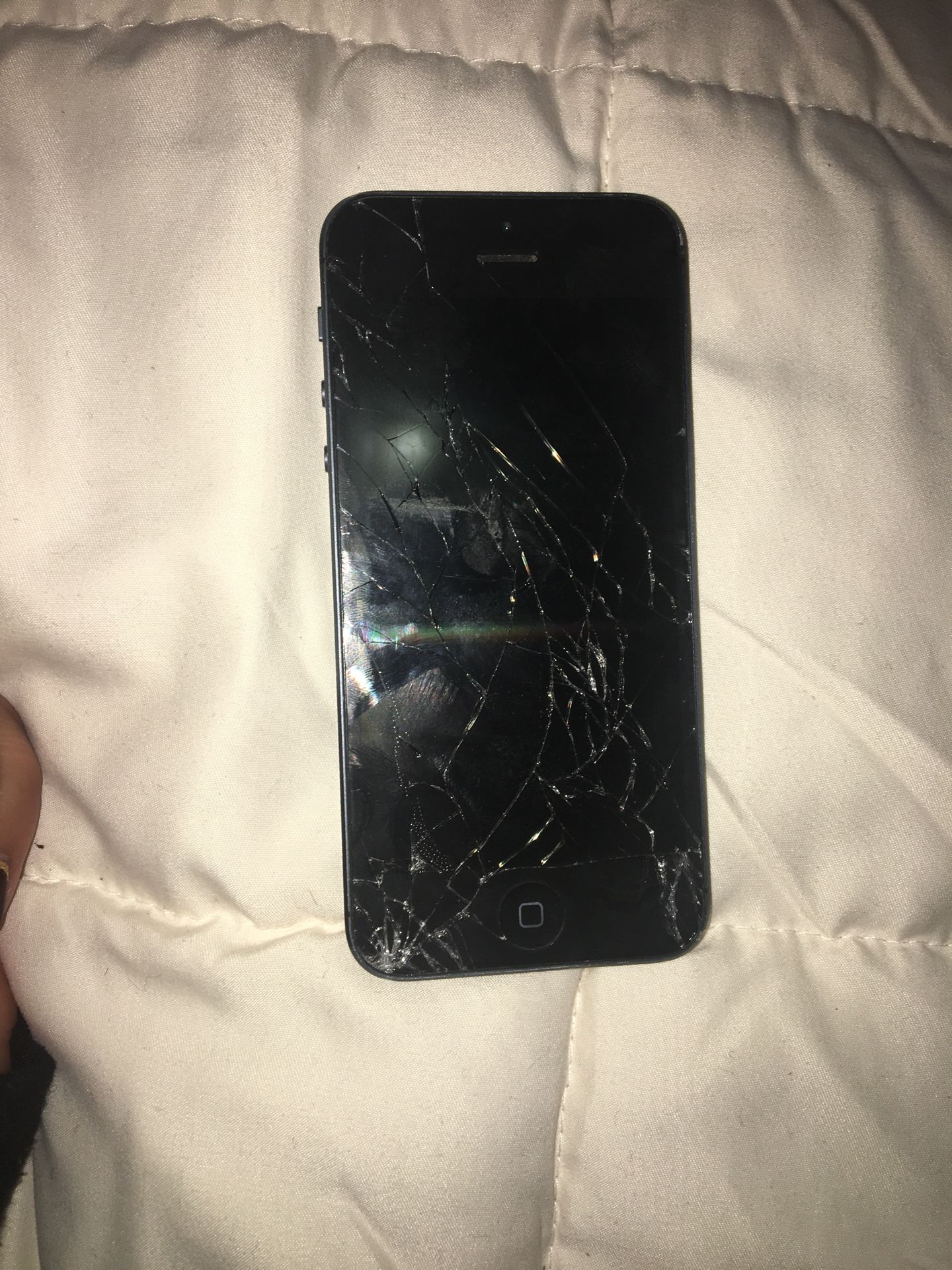 iPhone 5