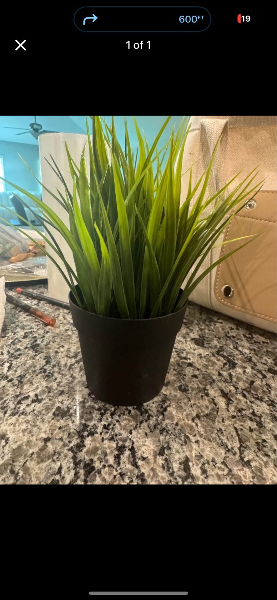Fake Plant