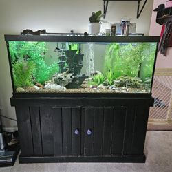 75 Gallon Fish Tank Complete Set Up