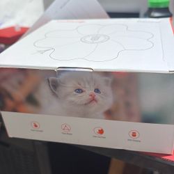 Interactive Cat Toy, Movable LED Red Dot, Hide and Seek Cat Toys, Moving Concealed Feathers, Rechargeable Exercise Toys for Indoor Cats, Bored Adult C