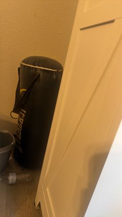 Everlast boxing bag