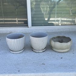 Plant pots
